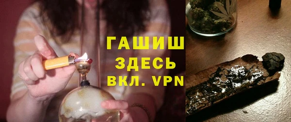 индика Протвино