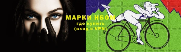 индика Протвино