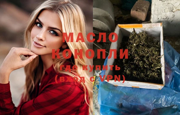 индика Протвино