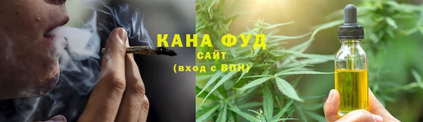 индика Протвино