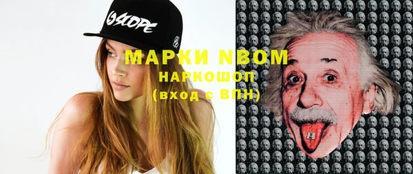 индика Протвино