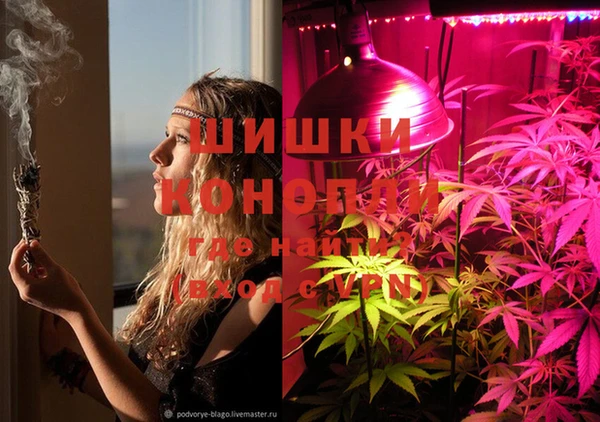дживик Лихославль