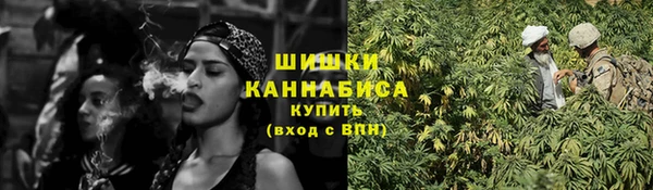 индика Протвино