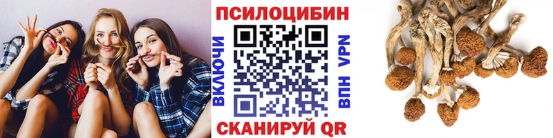 мега ONION Лыткарино Псилоцибиновые грибы MAGIC MUSHROOMS